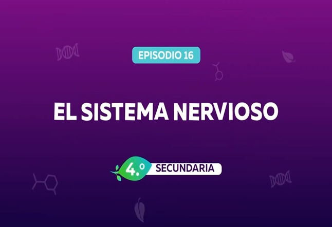 Capítulo N° 16 - El Sistema Nervioso